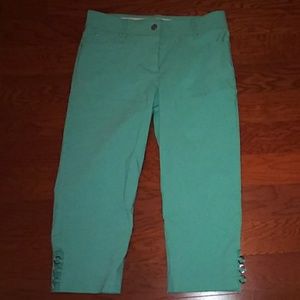 Never worn Verve Blues cropped pant Aqua sz. 12